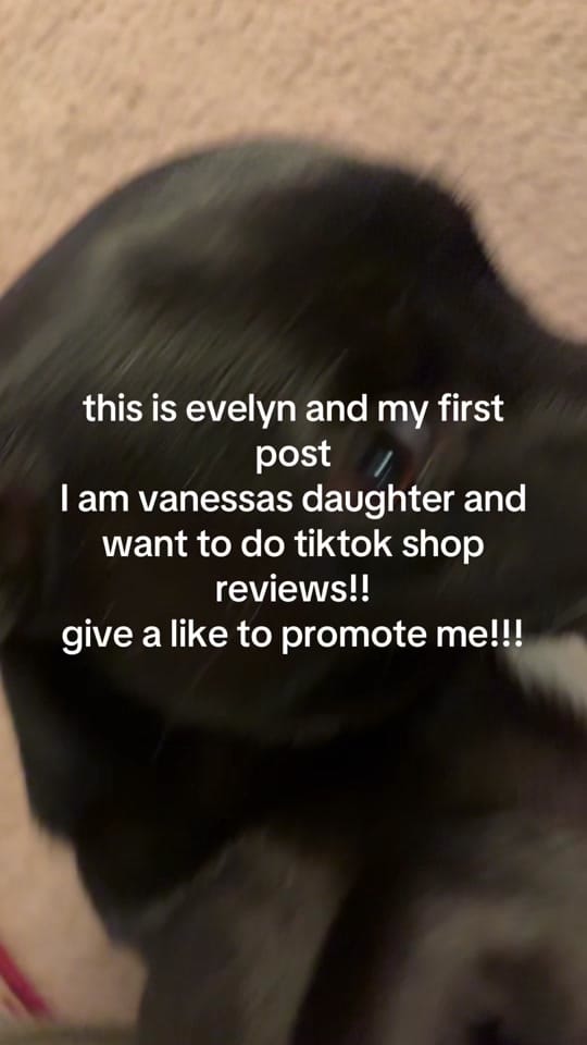 Post 2 by evelyns secret reviews on TikTok (video)