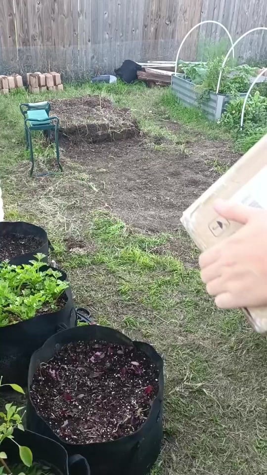 Post 9 by evelyns secret reviews on TikTok (video)