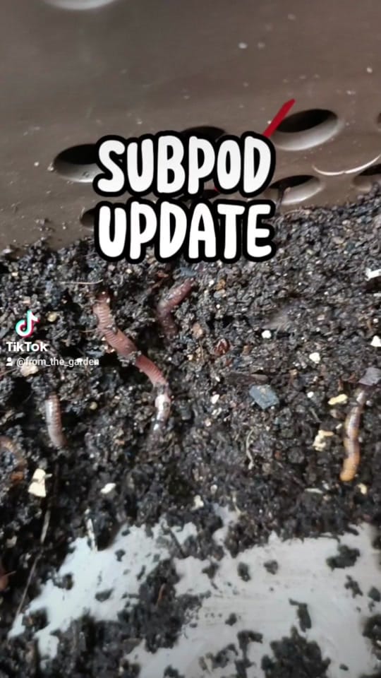 Post 3 by evelyns secret reviews on TikTok (video)
