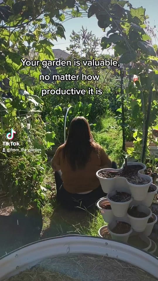 Post 6 by evelyns secret reviews on TikTok (video)