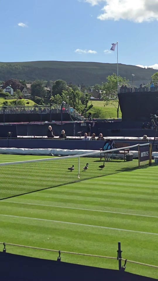 Post 2 by Leeds Life 🦉 on TikTok (video)
