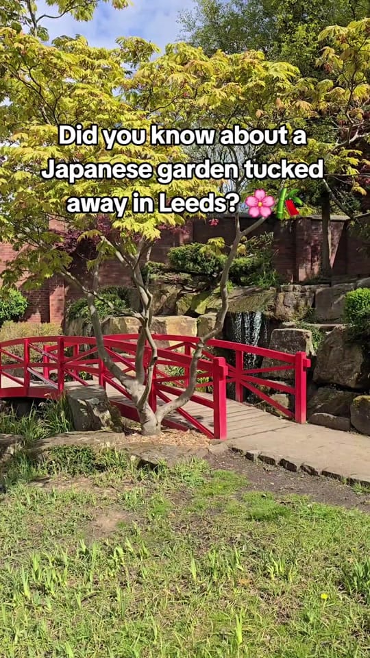 Post 9 by Leeds Life 🦉 on TikTok (video)