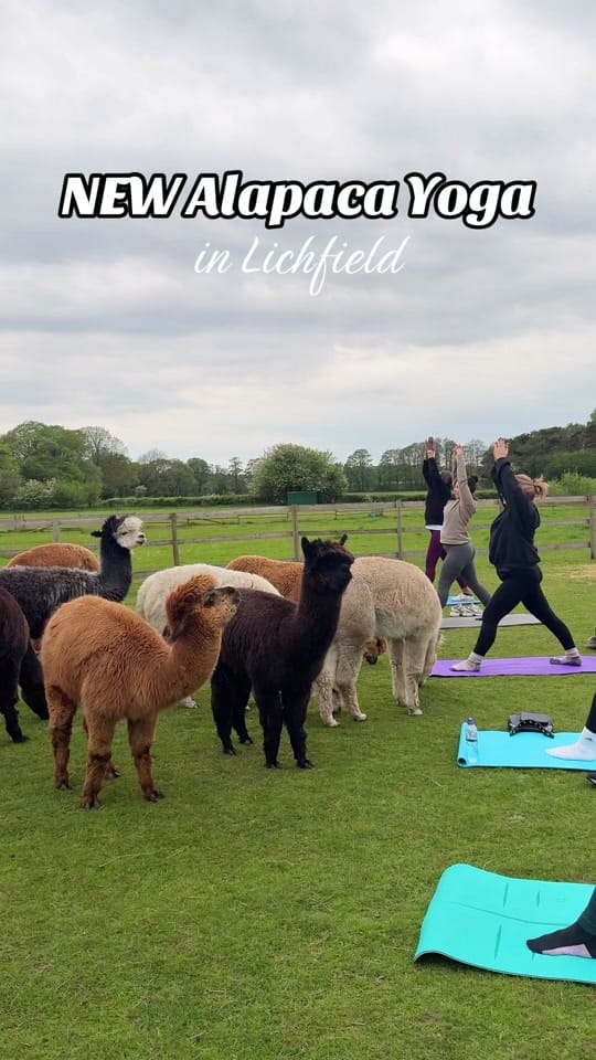 Post 3 by Westmidlands Foodie on TikTok (video)