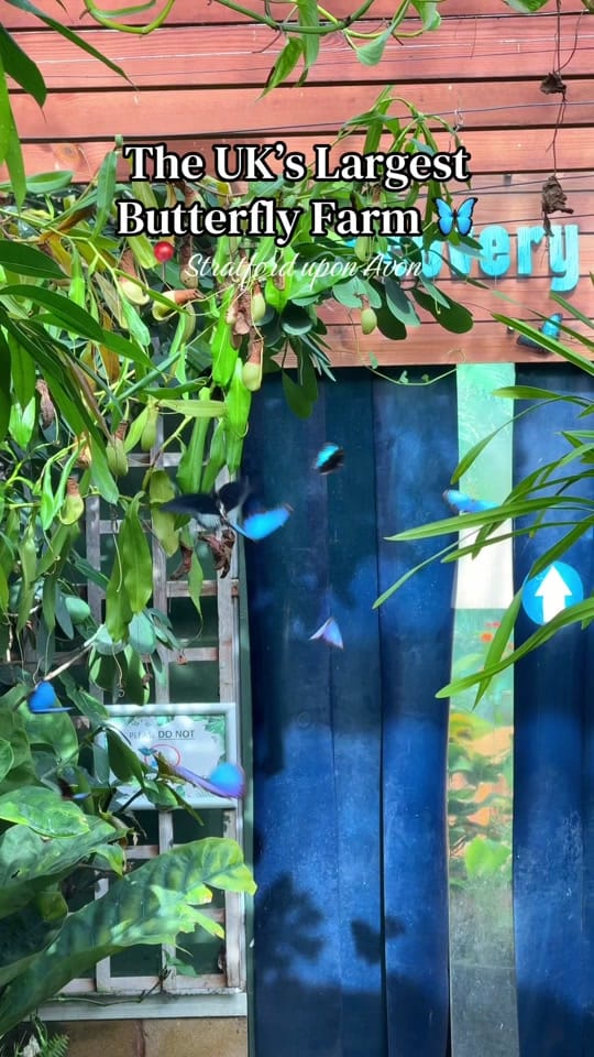 Post 7 by Westmidlands Foodie on TikTok (video)