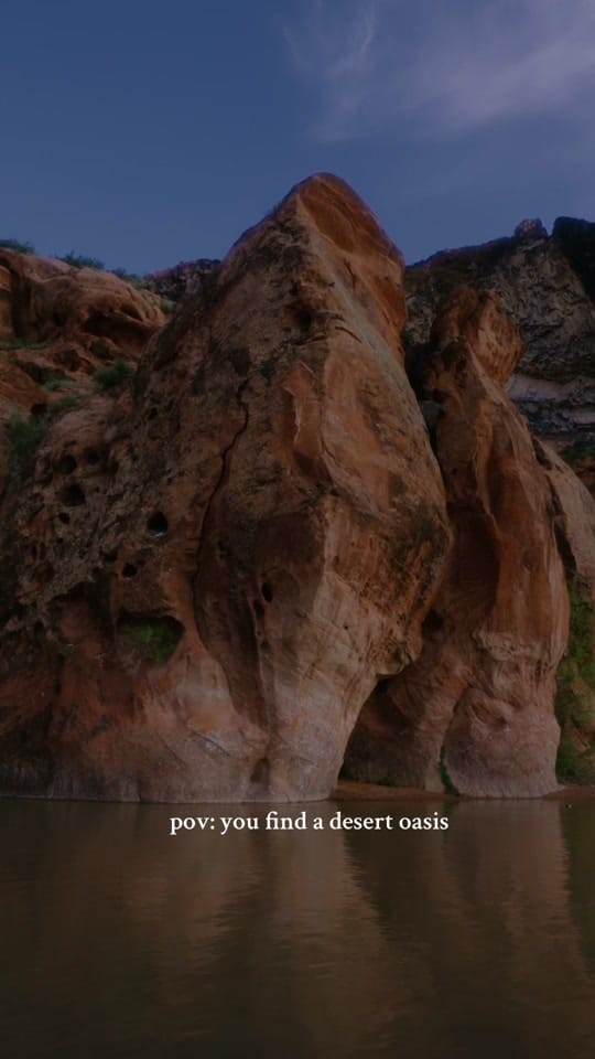 Post 2 by Chelsea Mealo on TikTok (video)