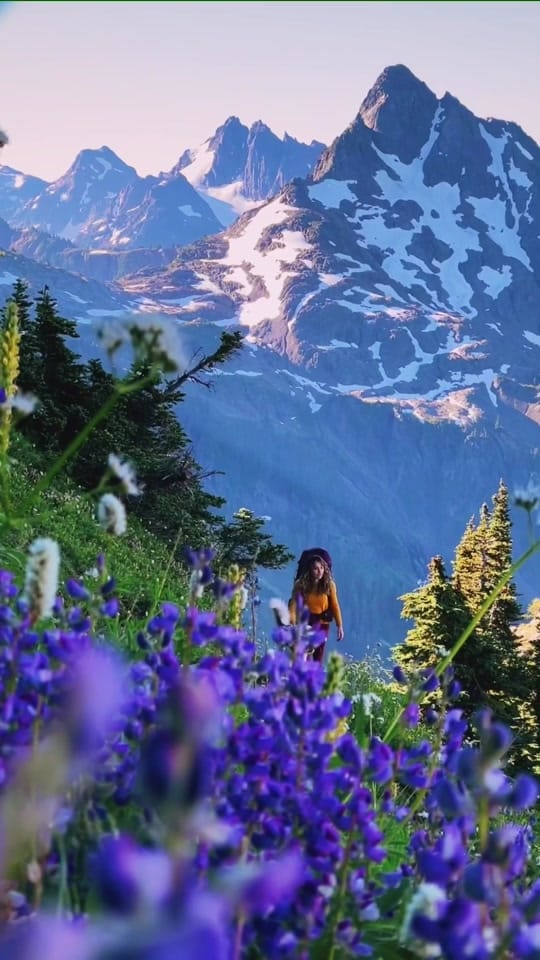 Post 7 by Chelsea Mealo on TikTok (video)