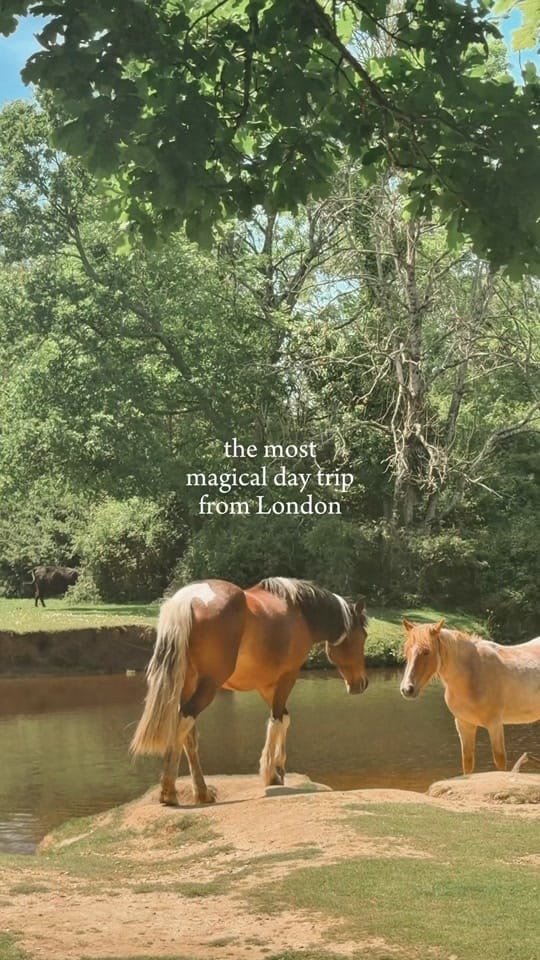 Post 2 by Rosie | London & Europe Travel on TikTok (video)