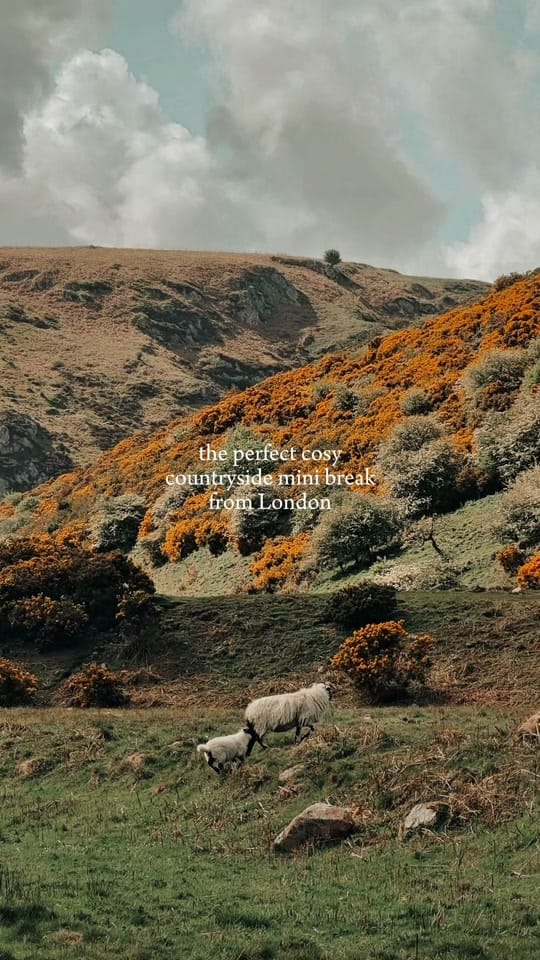 Post 6 by Rosie | London & Europe Travel on TikTok (video)