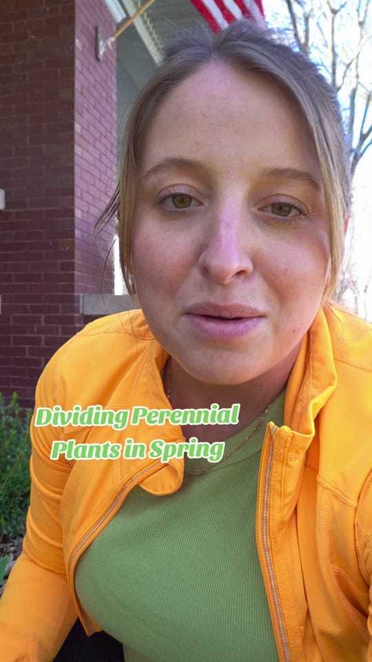 Post 2 by Lindy 🌼 on TikTok (video)