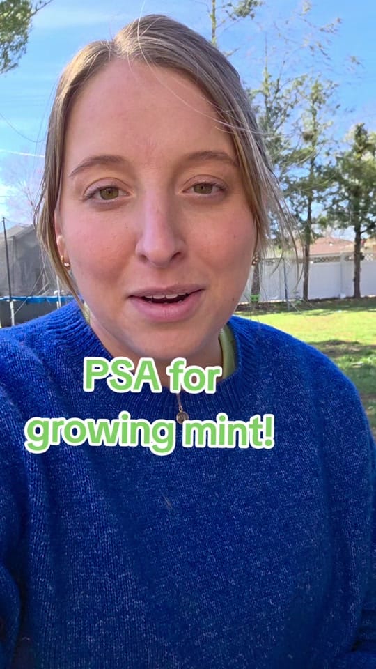 Post 10 by Lindy 🌼 on TikTok (video)