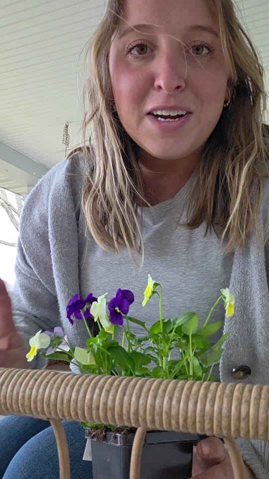 Post 4 by Lindy 🌼 on TikTok (video)