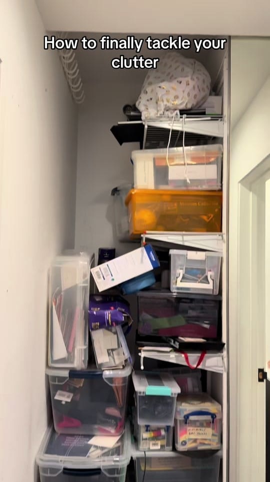 Post 9 by Dr. Julia Raz | LA Organizer on TikTok (video)
