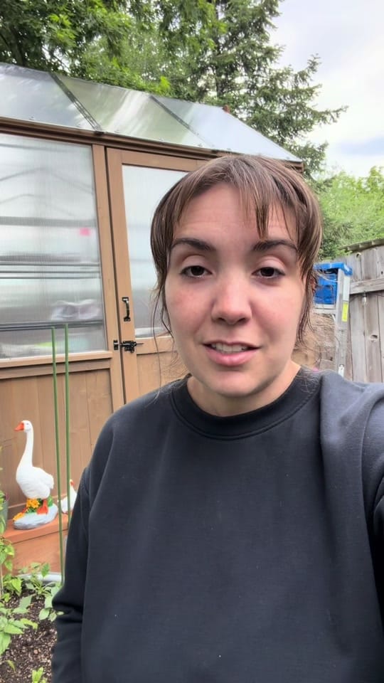 Post 6 by Jessie | Let’s Grow Gardening on TikTok (video)