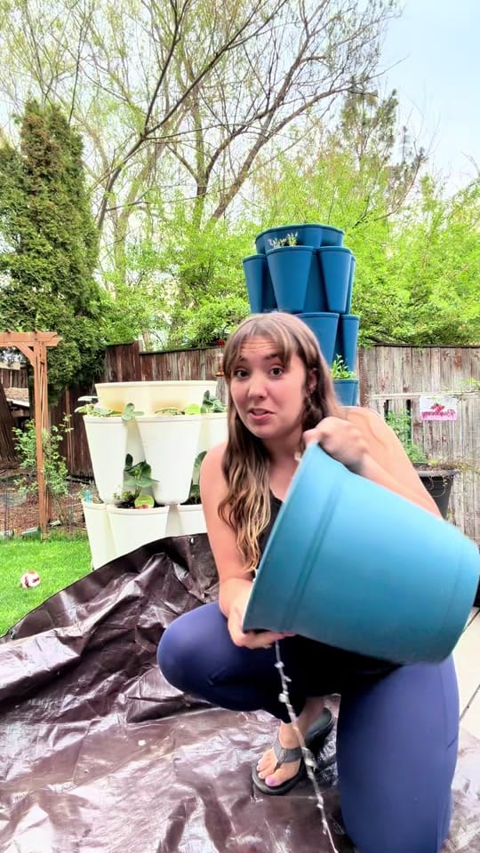 Post 9 by Jessie | Let’s Grow Gardening on TikTok (video)