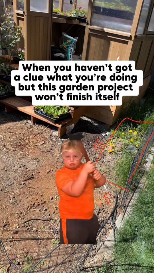 Post 7 by Jessie | Let’s Grow Gardening on TikTok (video)