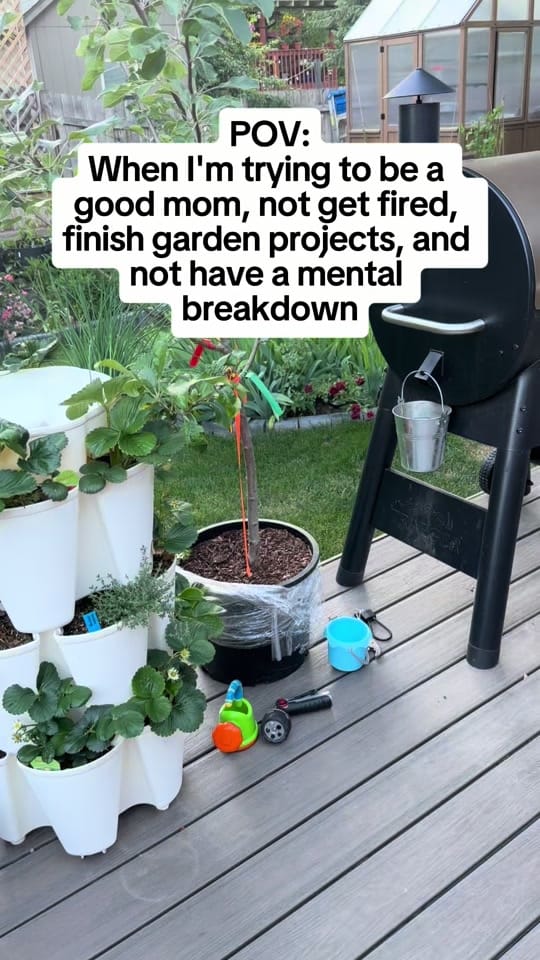 Post 1 by Jessie | Let’s Grow Gardening on TikTok (video)