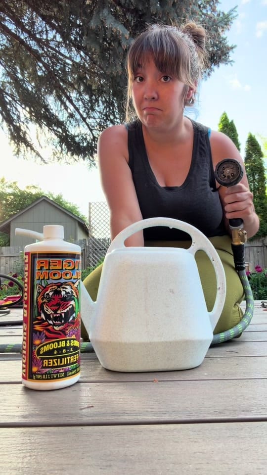 Post 3 by Jessie | Let’s Grow Gardening on TikTok (video)