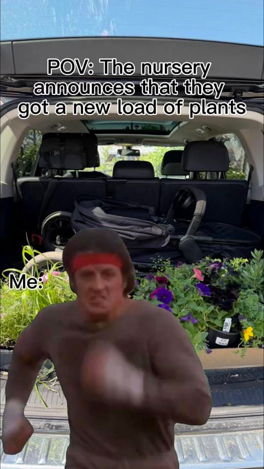 Post 4 by Jessie | Let’s Grow Gardening on TikTok (video)