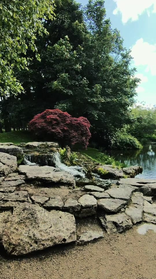Post 3 by Irish National Stud on TikTok (video)