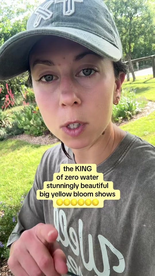 Post 5 by texasgarden on TikTok (video)