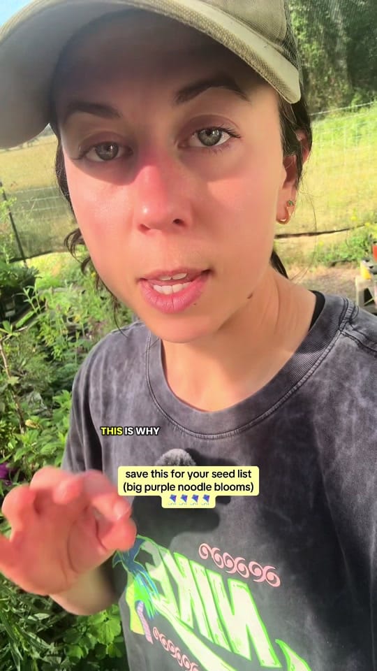 Post 4 by texasgarden on TikTok (video)