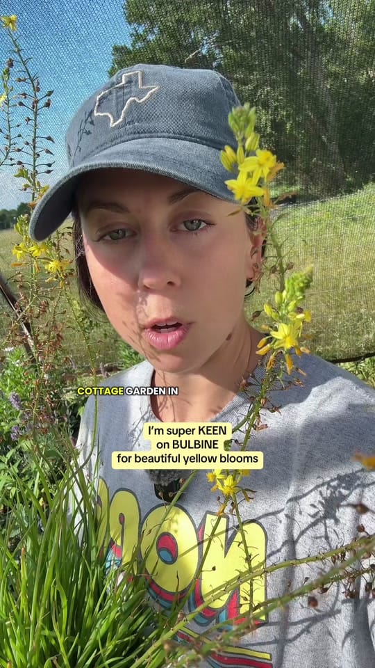Post 3 by texasgarden on TikTok (video)