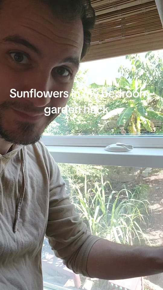 Post 7 by Garden Nate on TikTok (video)