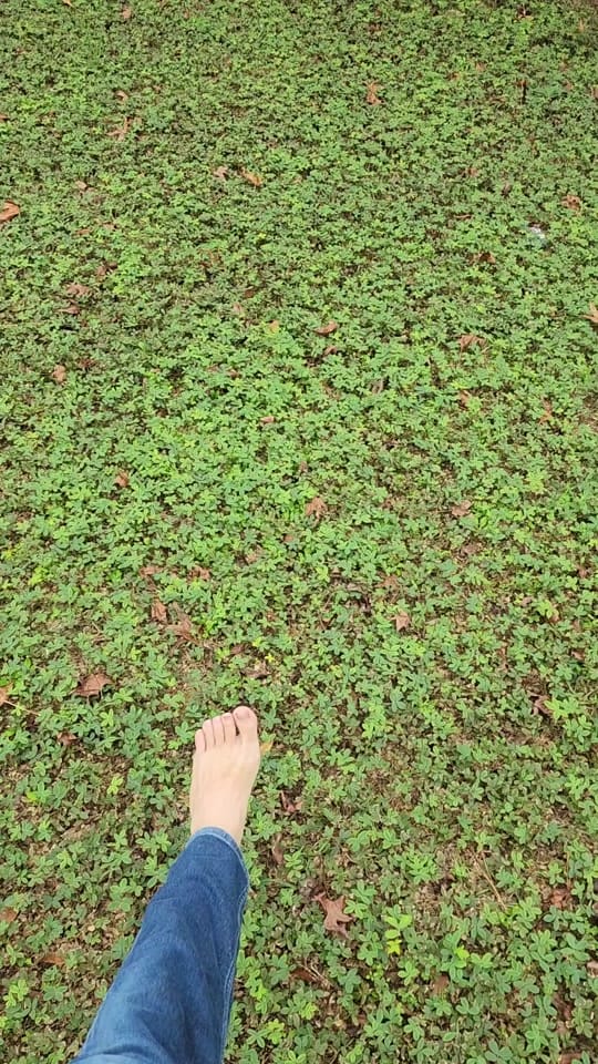Post 10 by Garden Nate on TikTok (video)