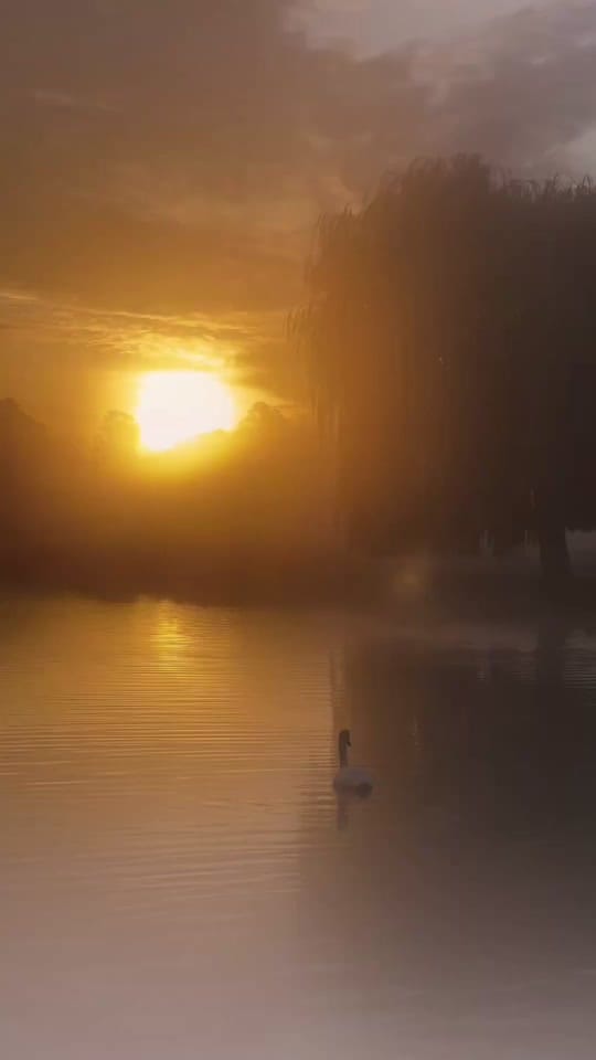Post 4 by Adeel Khan on TikTok (video)