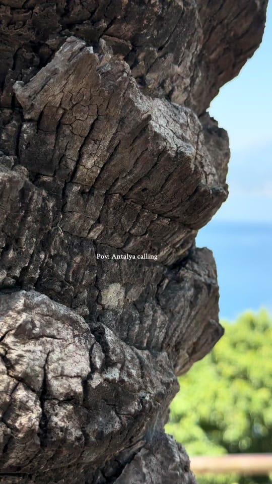 Post 5 by IRFAN Sajjad on TikTok (video)