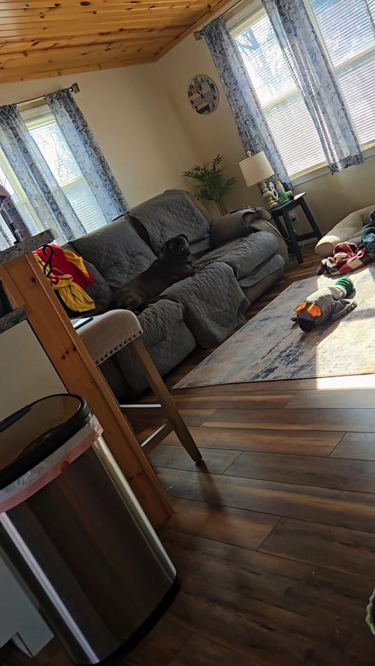 Post 10 by Amber🌻 & Maui 🐶 on TikTok (video)