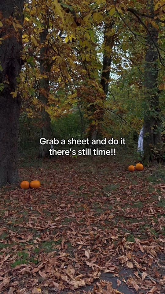 Post 7 by Murren on TikTok (video)