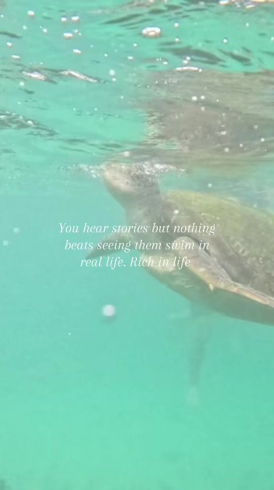 Post 3 by Amber Allardyce on TikTok (video)