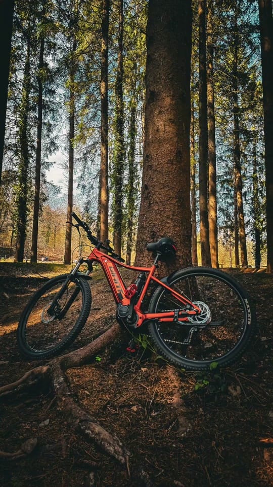 Post 8 by Adventure_with_mart on TikTok (video)