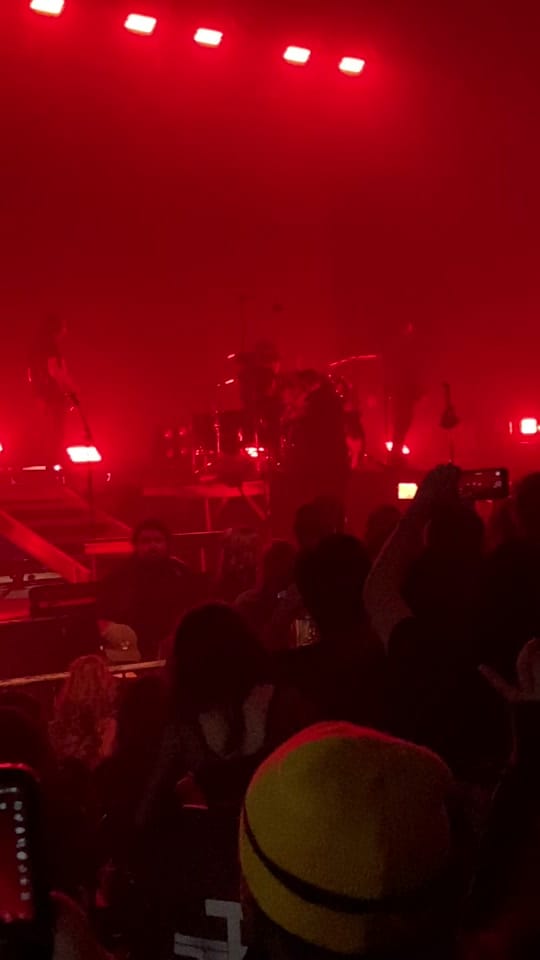 Post 7 by Daily dose of 🐍🦎 on TikTok (video)