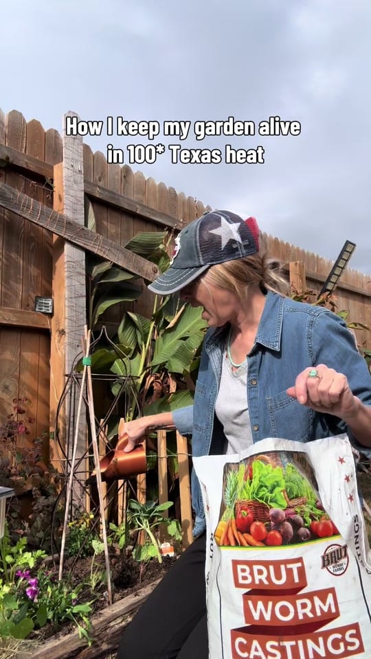 Post 6 by Kelly🌺Kelly🌺Kelly on TikTok (video)