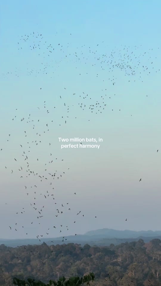 Post 5 by Alex 🐢 | Travelling 🌍 on TikTok (video)