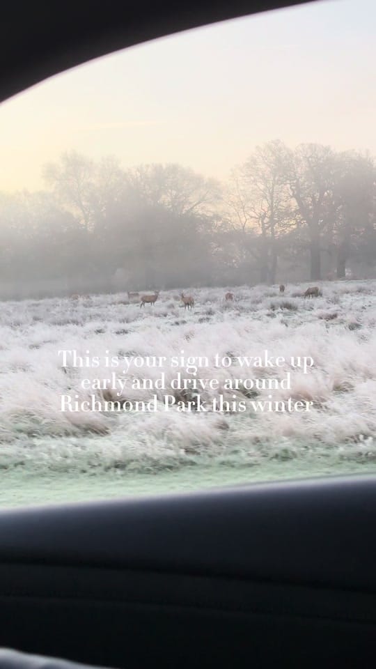 Post 8 by Elle on TikTok (video)