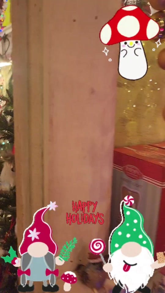 Post 5 by OCD_Christmas_Elf on TikTok (video)