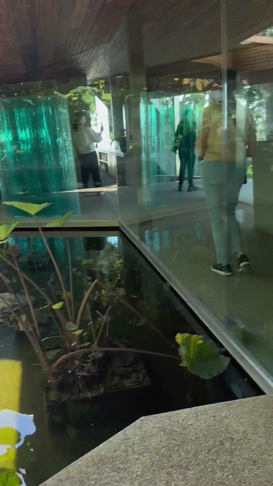 Post 1 by Anne-Kathrin Cao on TikTok (video)