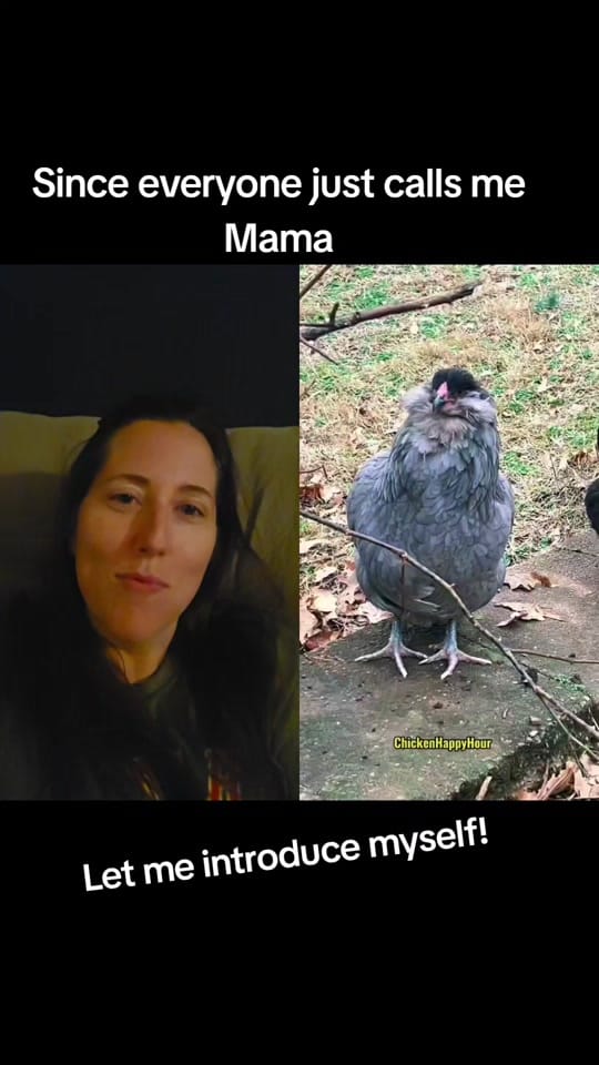 Post 9 by Mama Butter on TikTok (video)