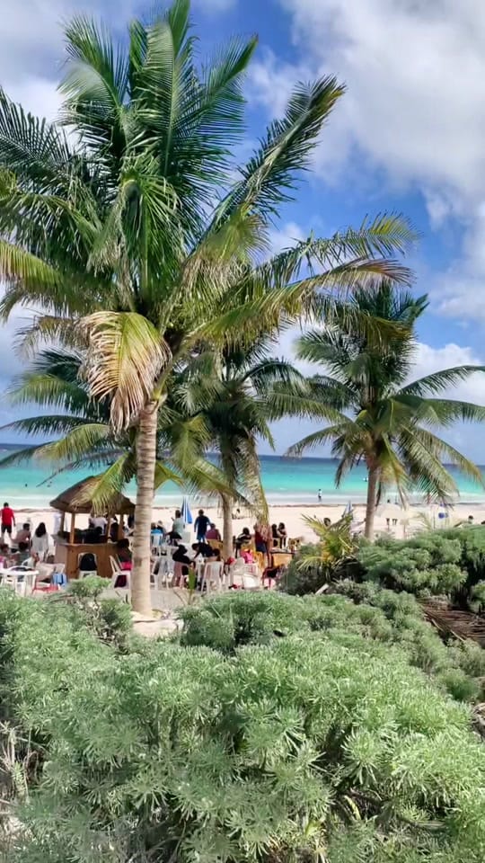 Post 10 by Marco Barcelos on TikTok (video)