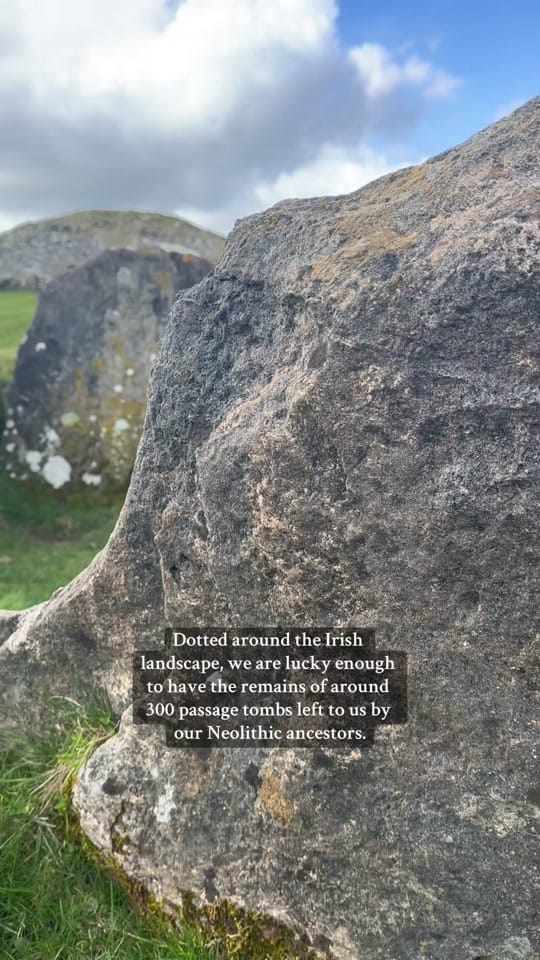 Post 3 by Shelly Mooney on TikTok (video)