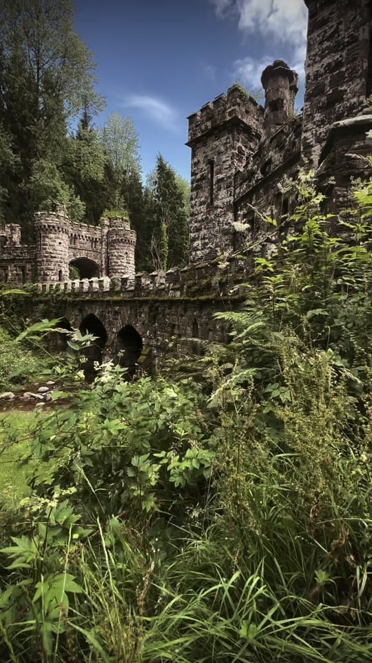 Post 9 by Shelly Mooney on TikTok (video)