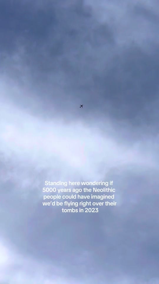 Post 4 by Shelly Mooney on TikTok (video)