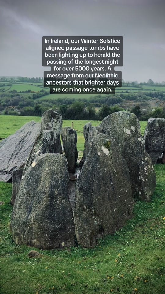 Post 2 by Shelly Mooney on TikTok (video)