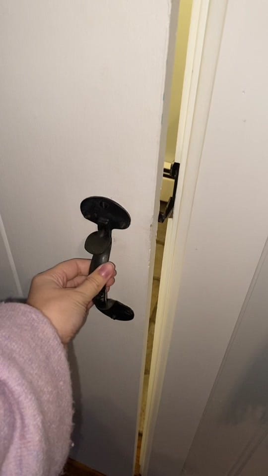 Post 8 by Tori Flick on TikTok (video)