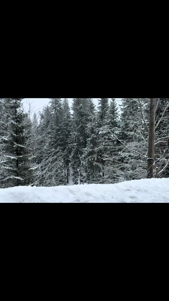 Post 2 by ksyushaa_zv on TikTok (video)