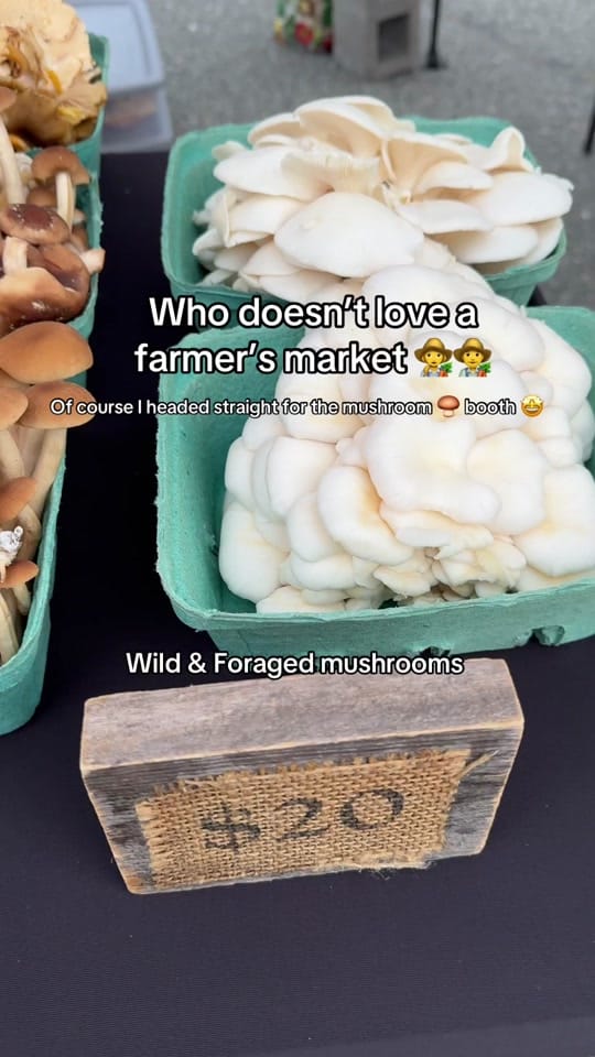 Post 3 by Christa 🧵 on TikTok (video)