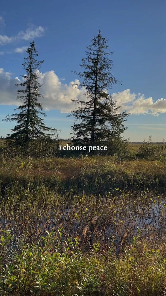 Post 8 by Christa 🧵 on TikTok (video)